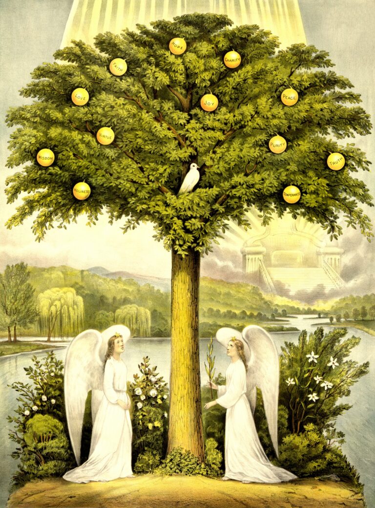 tree-of-life-13938595919K2